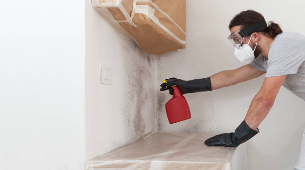 Professional Attic Mold Remediation technician working in Littlestown, PA